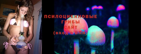 скорость Арсеньев