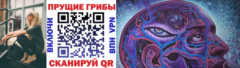 Галлюциногенные грибы Psilocybe mega как войти Баймак